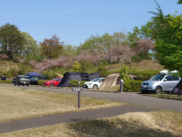 八塩オートキャンプ場の画像 2枚目