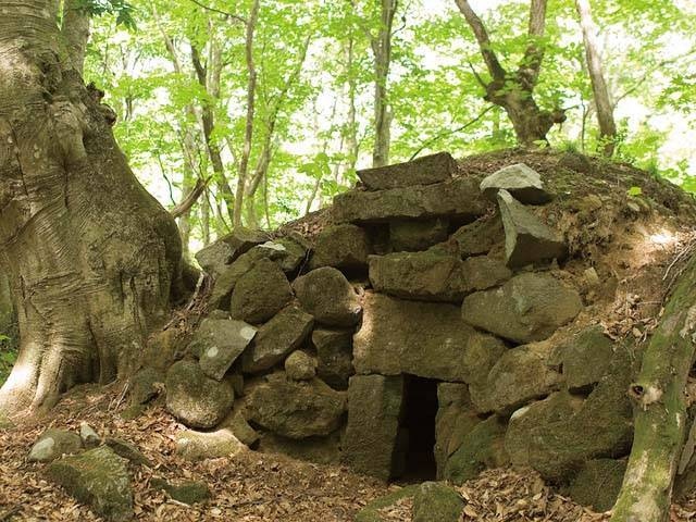 中島台レクリエーションの森の画像 3枚目