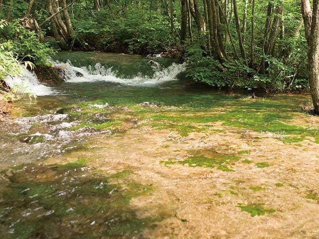 中島台レクリエーションの森の画像 4枚目