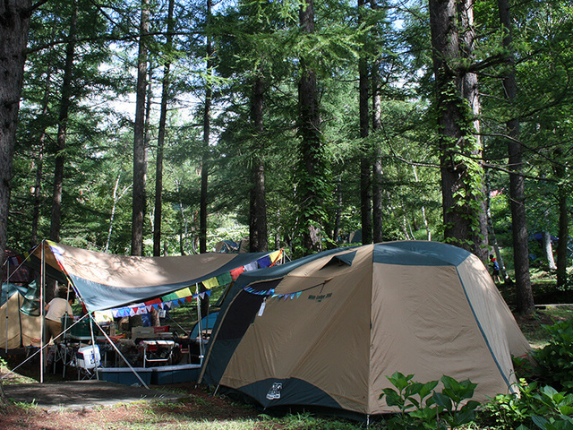 群馬みなかみほうだいぎキャンプ場の画像 1枚目