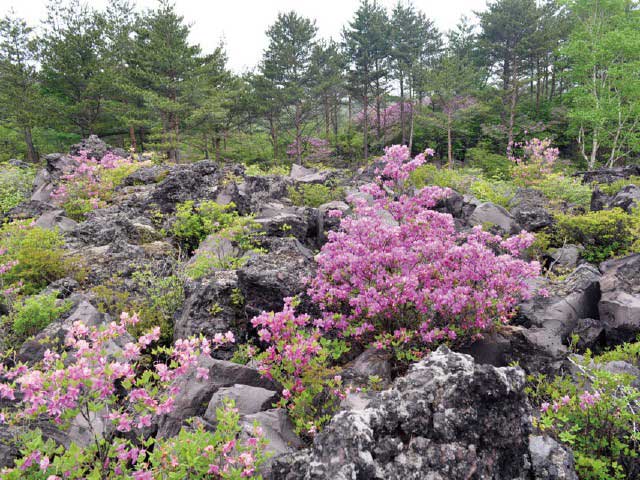 鬼押出し園