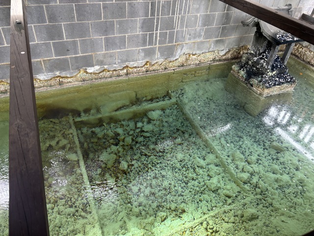 白旗の湯の画像 2枚目