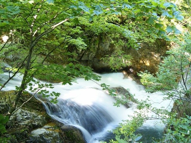 照葉峡の画像 1枚目