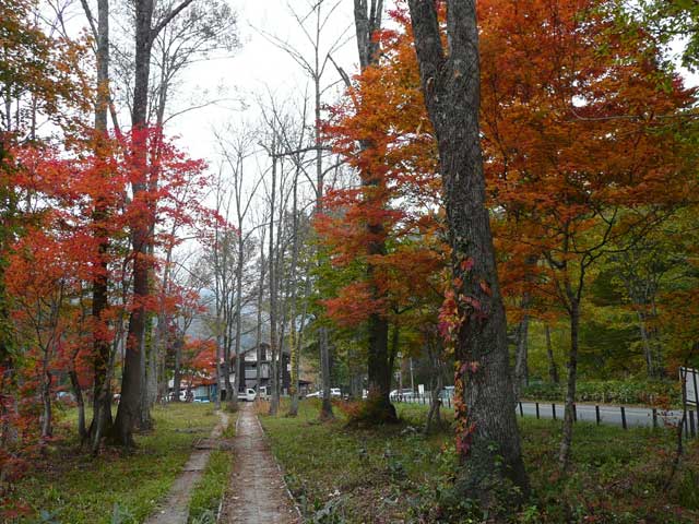 尾瀬のハイキングコース(大清水)の画像 1枚目