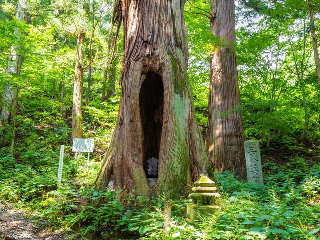 迦葉山龍華院弥勒護国寺の画像 3枚目