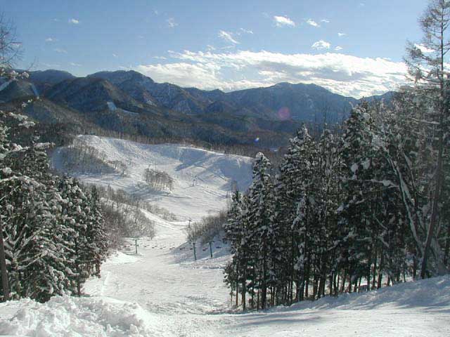 水上高原藤原スキー場