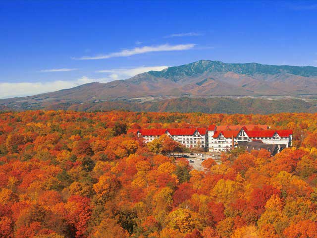 ホテルグリーンプラザ軽井沢 奥軽井沢温泉「暁の湯」(日帰り入浴)の画像 4枚目