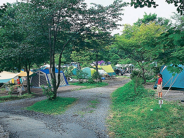 わらび平森林公園キャンプ場