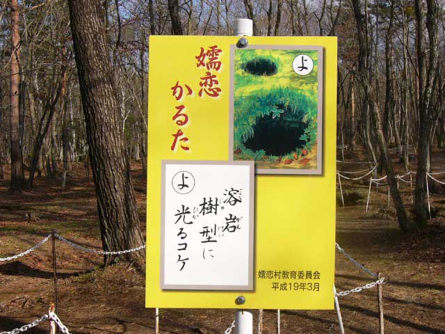 浅間山溶岩樹型の画像 2枚目