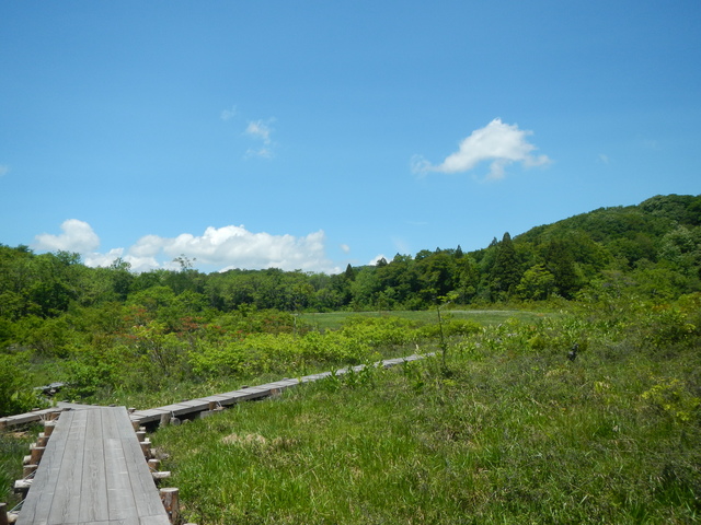玉原湿原の画像 1枚目