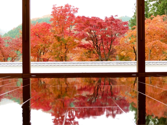 宝徳寺の画像 4枚目