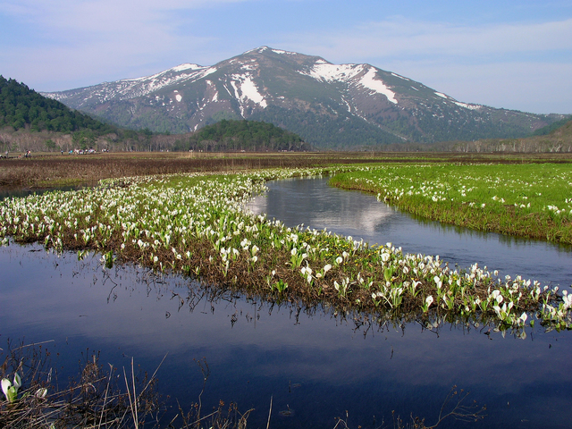 尾瀬国立公園(群馬県)の画像 1枚目