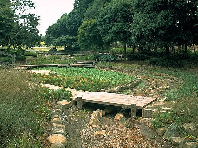 水生植物園