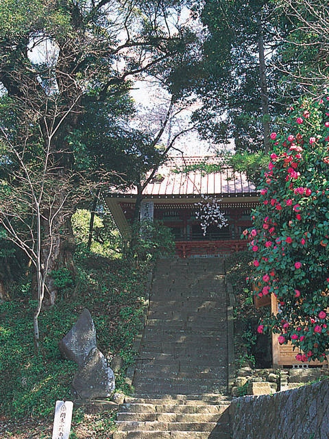 清滝寺の画像 3枚目