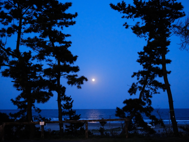 大洗サンビーチキャンプ場の画像 1枚目