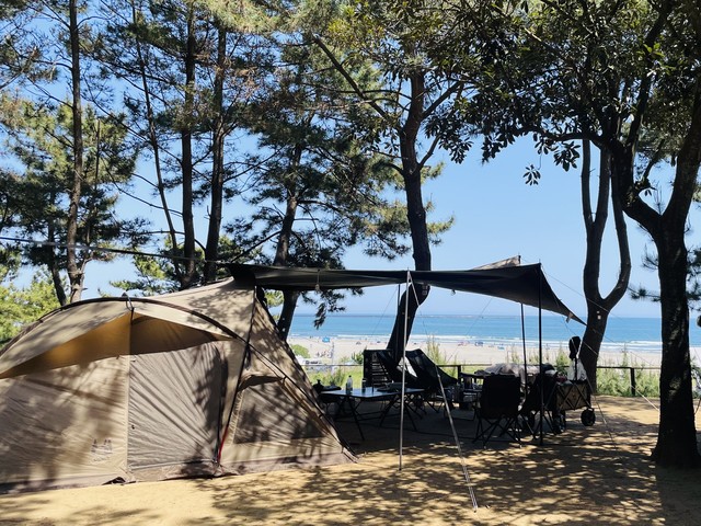 大洗サンビーチキャンプ場の画像 1枚目