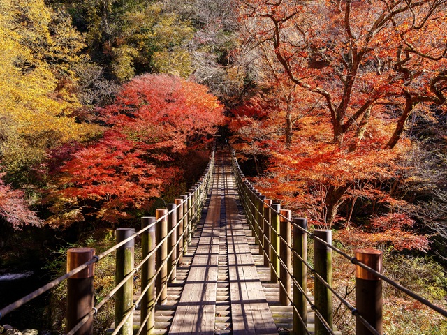 花貫渓谷の画像 1枚目