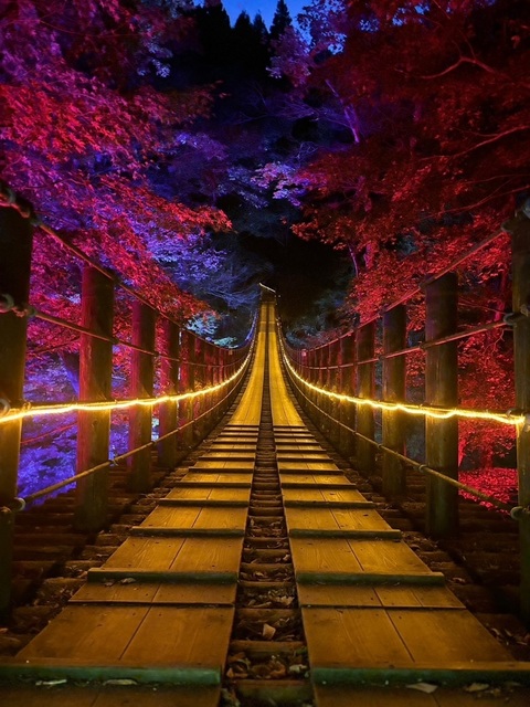 花貫渓谷の画像 2枚目