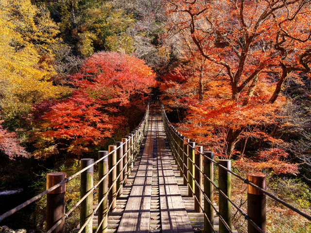 花貫渓谷の画像 1枚目