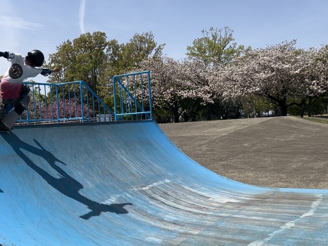 県西総合公園の画像 4枚目