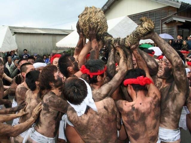ヘトマトの画像 3枚目