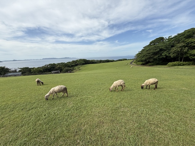 中瀬草原キャンプ場の画像 4枚目
