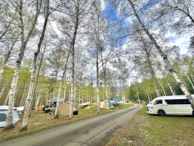 高ソメキャンプ場の画像 2枚目