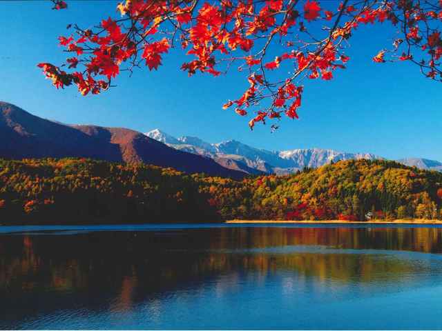 青木湖キャンプ場&アドベンチャークラブの画像 4枚目