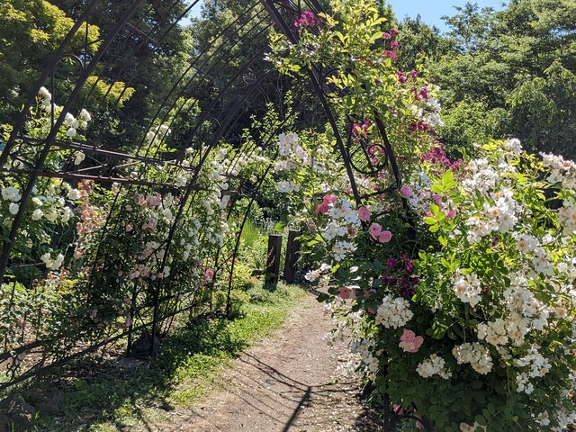 フローラルガーデンおぶせの画像 4枚目