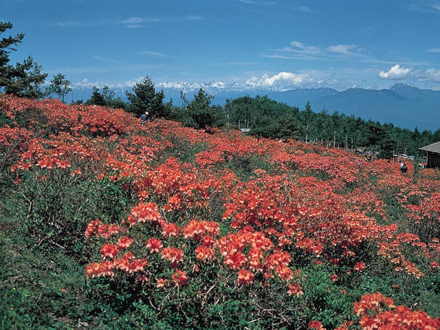 五味池破風高原自然園