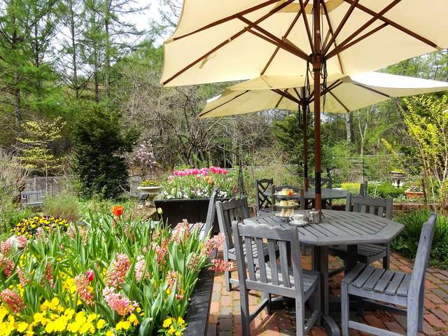 蓼科高原 バラクラ イングリッシュ ガーデンの画像 1枚目