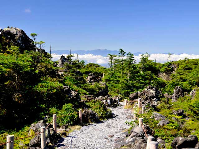 坪庭の画像 1枚目