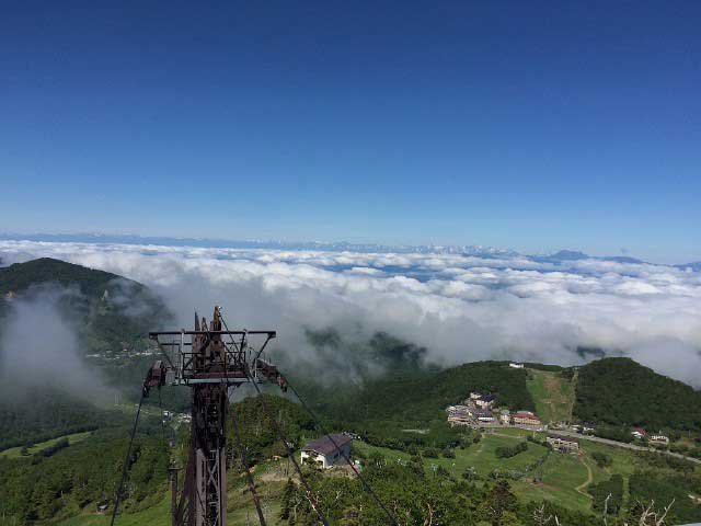 東館山高山植物園