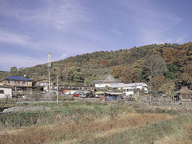 松井農園