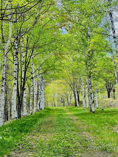 野麦峠オートキャンプ場の画像 4枚目