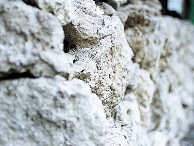 噴湯丘と球状石灰石の画像 1枚目