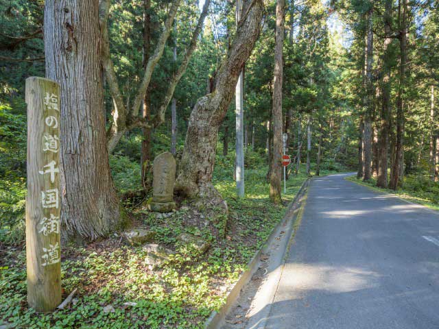 塩の道・佐野坂コース