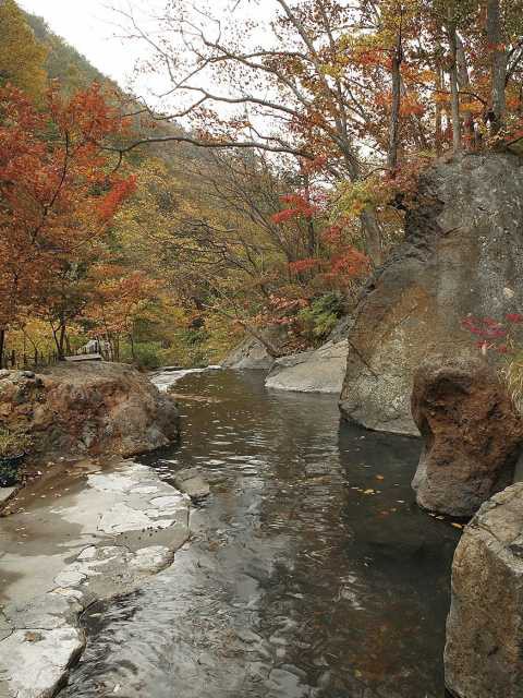 松川渓谷温泉 滝の湯(日帰り入浴)の画像 4枚目