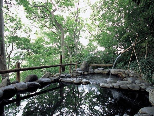 島崎藤村ゆかりの宿 中棚荘(日帰り入浴)