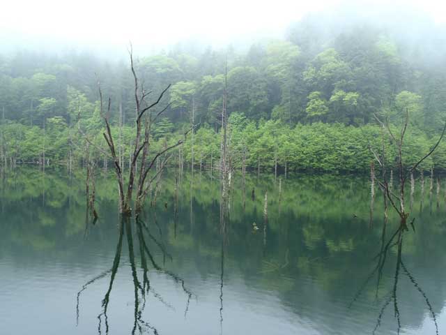 自然湖の画像 2枚目