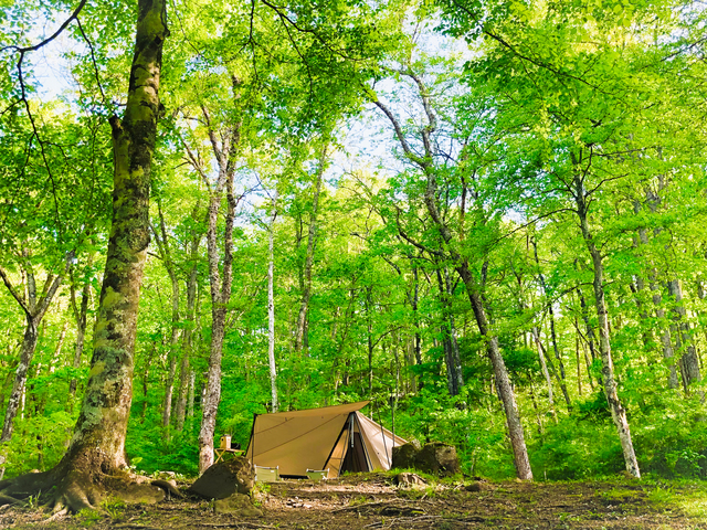 駒出池キャンプ場の画像 1枚目