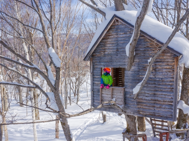 奥志賀高原スキー場の画像 2枚目