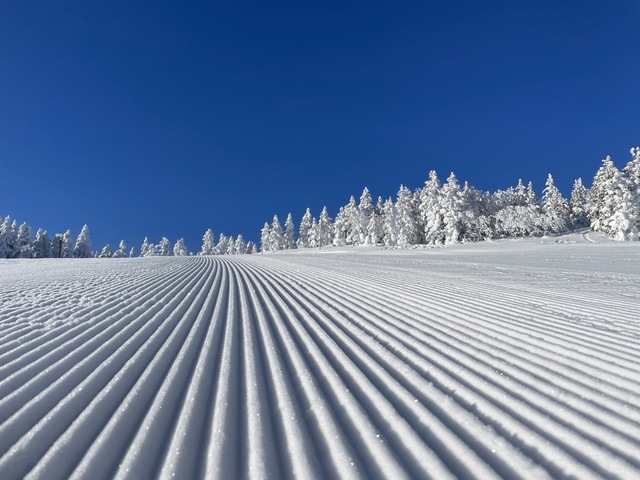 奥志賀高原スキー場の画像 4枚目