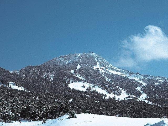 志賀高原・熊の湯スキー場の画像 3枚目