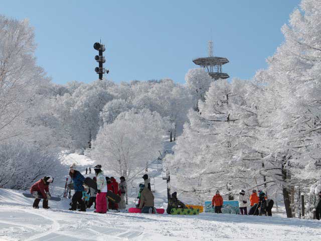 野沢温泉スキー場の画像 4枚目