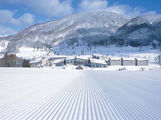 タングラムスキーサーカスの画像 1枚目