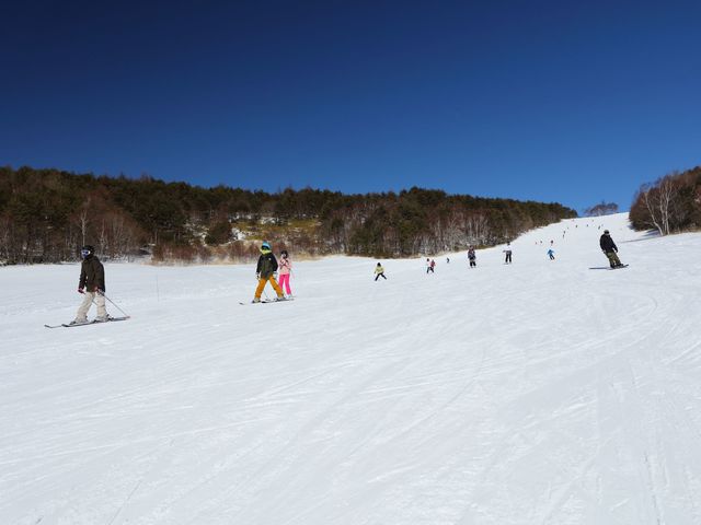 菅平高原スノーリゾートの画像 1枚目