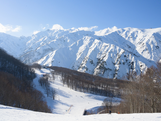 Hakuba47ウインタースポーツパークの画像 2枚目