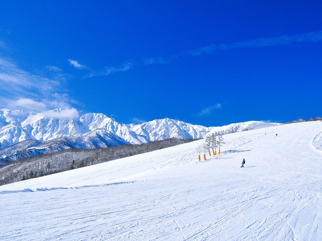 白馬岩岳スノーフィールドの画像 2枚目