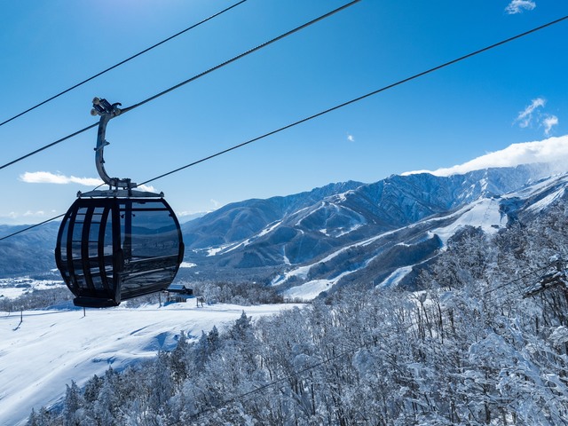 白馬岩岳スノーフィールドの画像 3枚目